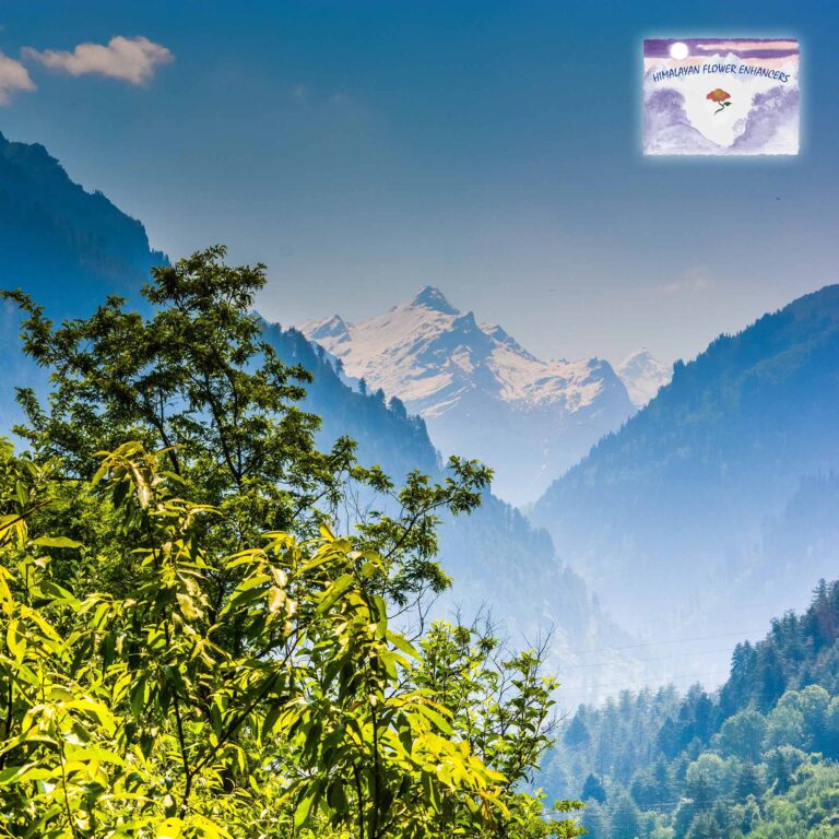 Die Geschichte der Himalayan Flower Enhancers