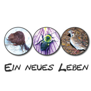 Read more about the article Ein neues Leben (Essenzenladen)