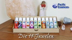 Mehr über den Artikel erfahren Video Blog auf YouTube