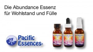 Read more about the article Video zur Abundance Essenz