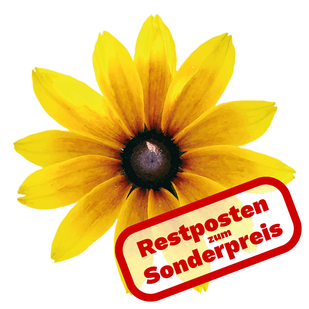 Restposten im Essenzenladen