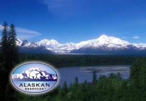 Read more about the article Alles von Alaskan Essences