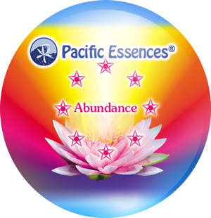 Abundance – Wohlstand und Fülle