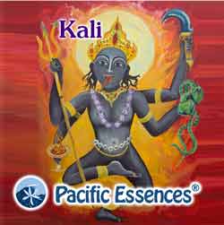 Pacific Essences: Kali