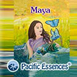 Pacific Essences: Maya