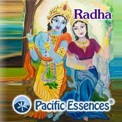 Pacific Essences: Radha