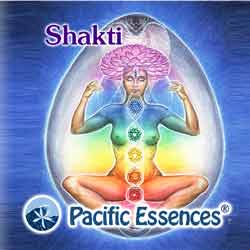 Pacific Essences: Shakti
