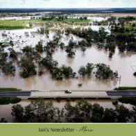 Australische Buschblüten 💔 für die von den Überschwemmungen und Kämpfen Betroffenen