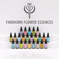 Findhorn Flower Essences