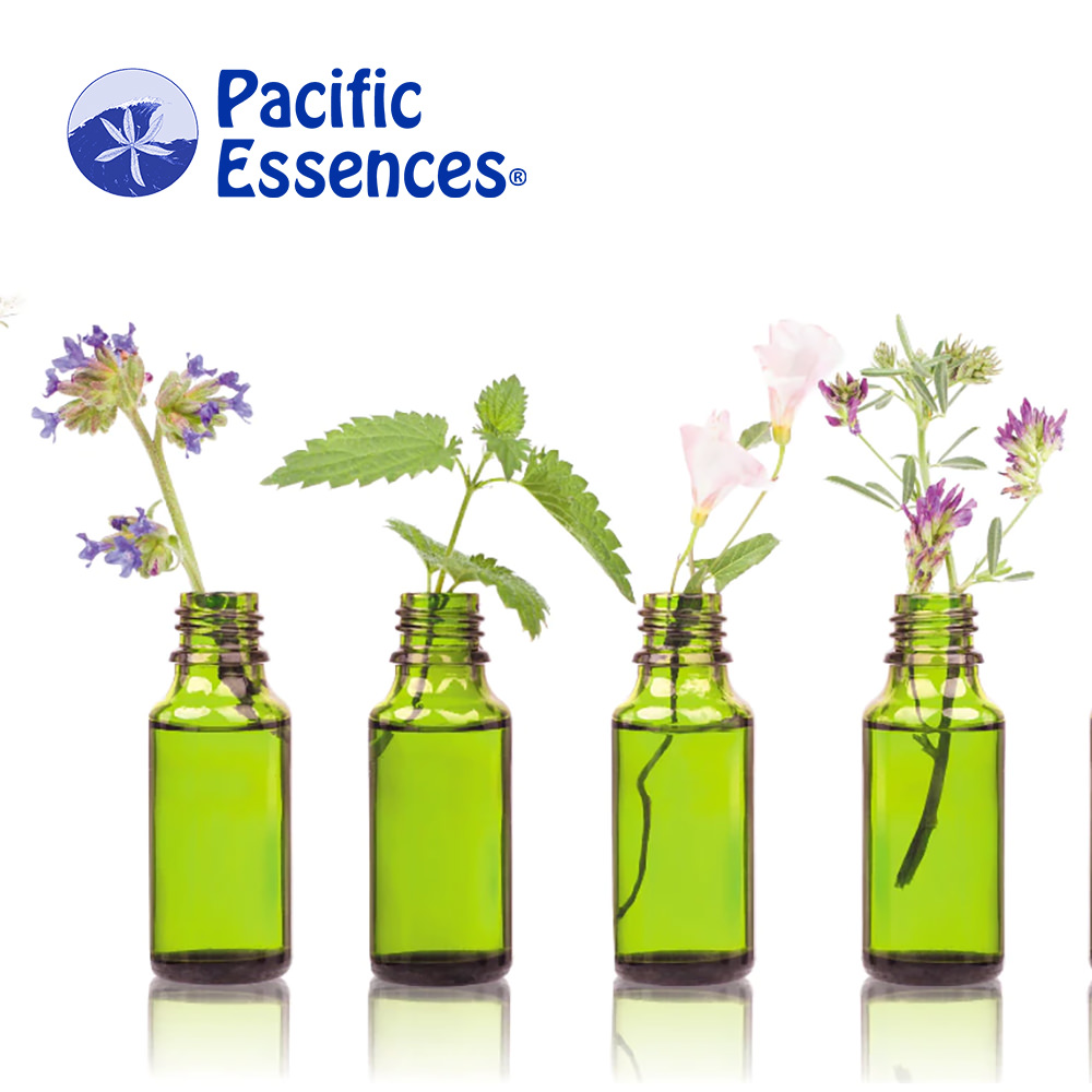 Pacific Essences Mai 2022