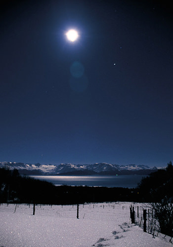 Full Moon Reflection (Alaskan Essences)