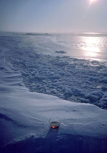 Polar Ice (Alaskan Essences)