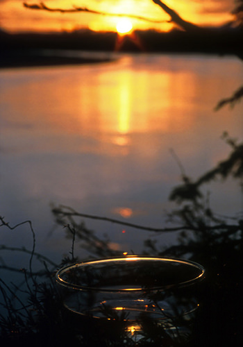 Solstice Sun (Alaskan Essences)