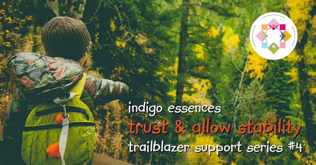 Trust & Allow Stability (Indigo Essences)