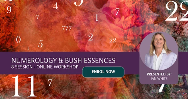 Numerologie und Australische Buschblüten Essenzen Webinar