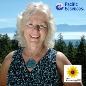 Read more about the article Pacific Essences aus Kanada