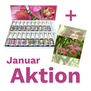 Read more about the article PHI Amazonas Orchideen Set – Aktion mit kostenlosem Buch
