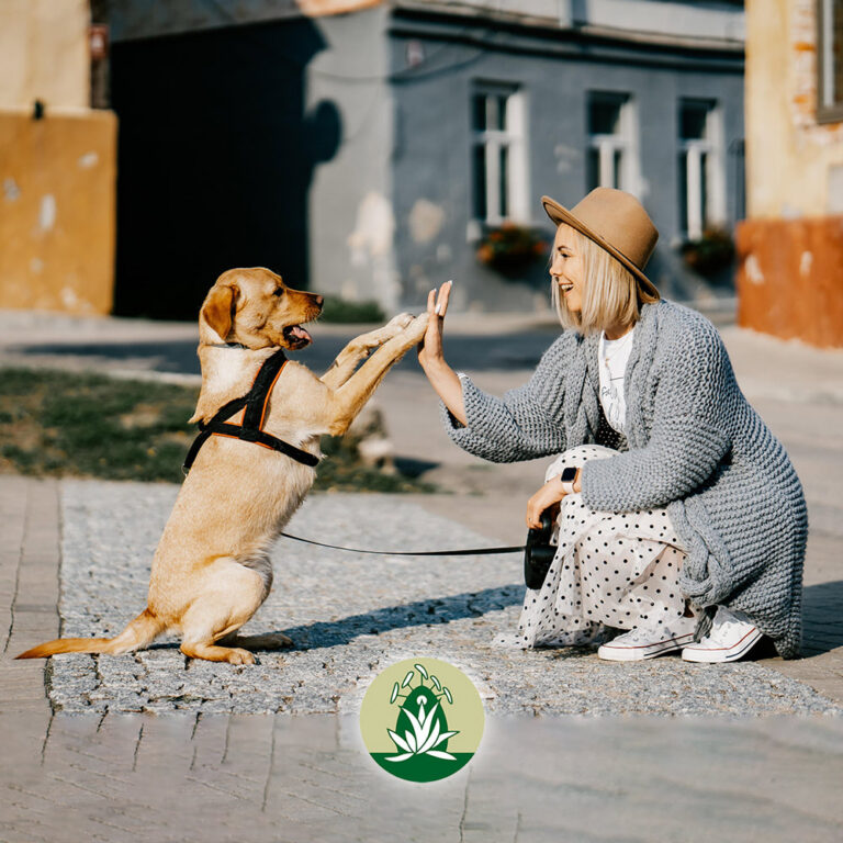 Desert Alchemy Blütenessenzen für Tiere