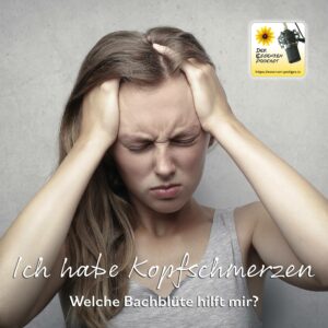 Read more about the article Ich habe Kopfschmerzen. Welche Bachblüte hilft mir?