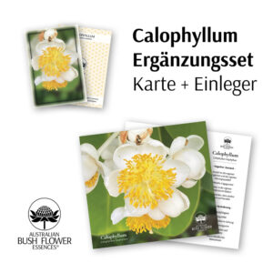 Read more about the article Das Calophyllum Ergänzungsset – Australische Buschblüten Essenzen