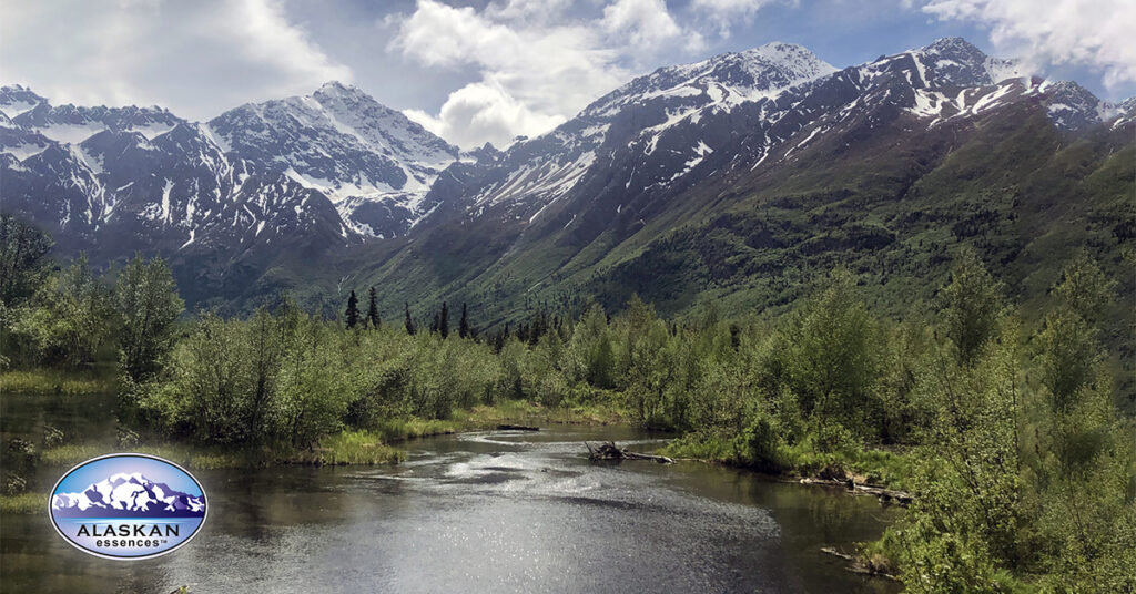 Die Welt mit neuen Augen sehen (Alaskan Essences)