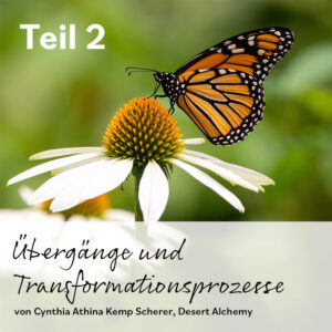 Read more about the article Übergänge und Transformationsprozesse (Teil 2)