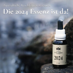 Read more about the article Die 2024 Essenz – Eine transformative Reise durch das neue Jahr