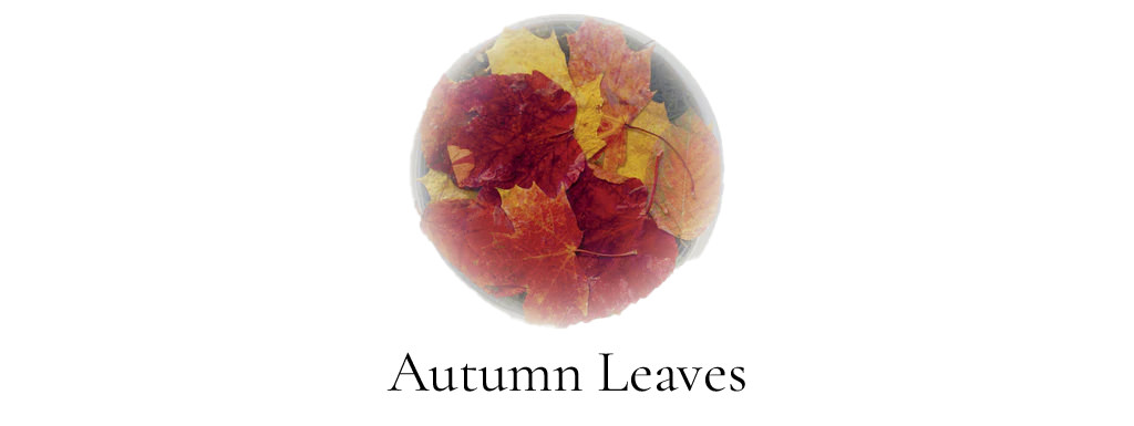 Abf April 2024 Autumn Leaves