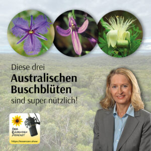 Read more about the article Diese drei Australischen Buschblüten sind super nützlich!