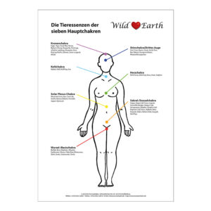 Mehr über den Artikel erfahren Chakratafel der Wild Earth Tieressenzen