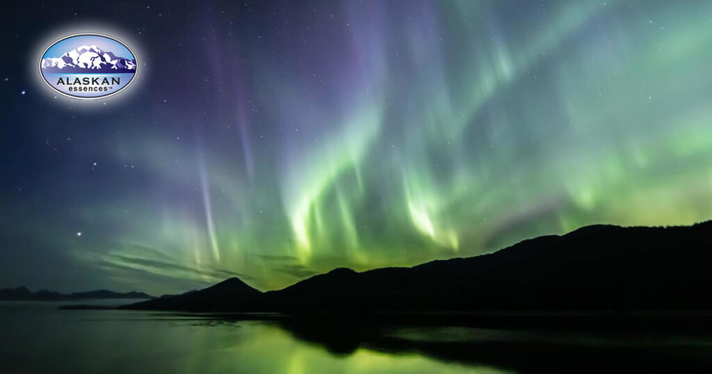 Die heilende Energie der Natur (Alaskan Essences)