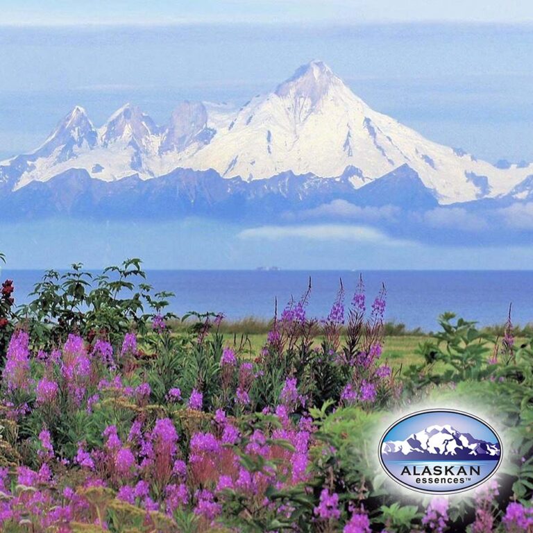 Unterstützung bei der Gestaltung unserer Zukunft (Alaskan Essences)