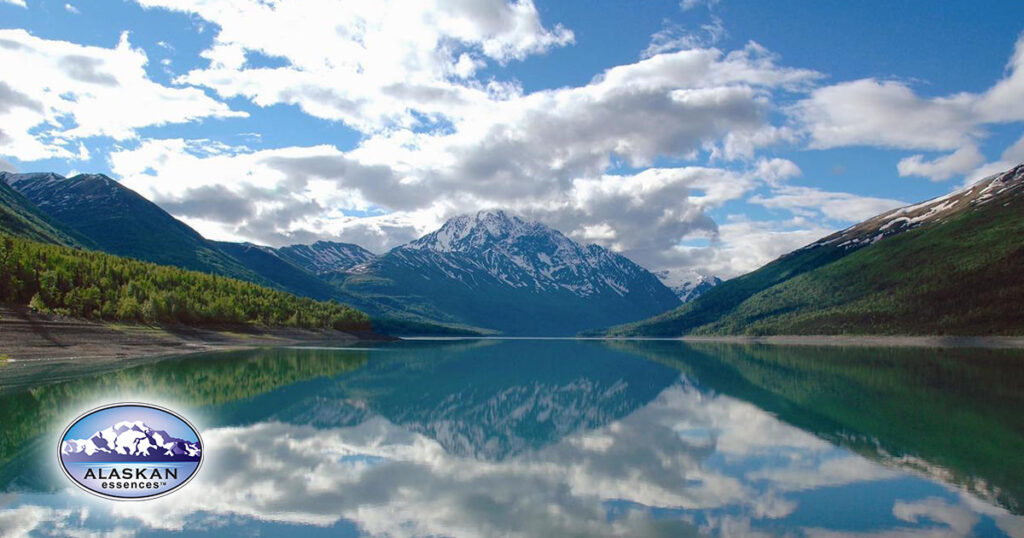 Die Reise des Herzens zur Heilung (Alaskan Essences)