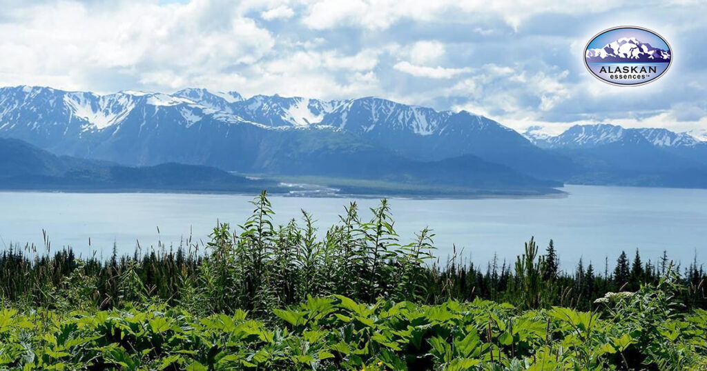 Der inneren Stimme folgen (Alaskan Essences)