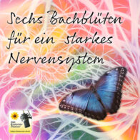 Sechs Bachblüten für ein starkes Nervensystem