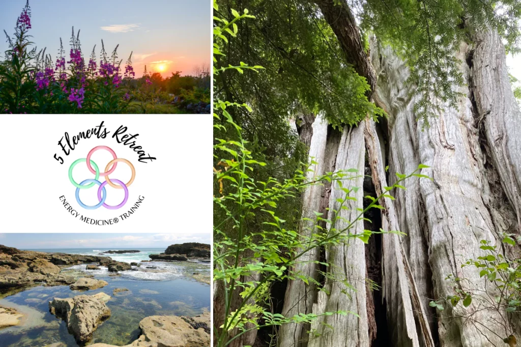 Pacific Essences Five Elements Retreat 2025