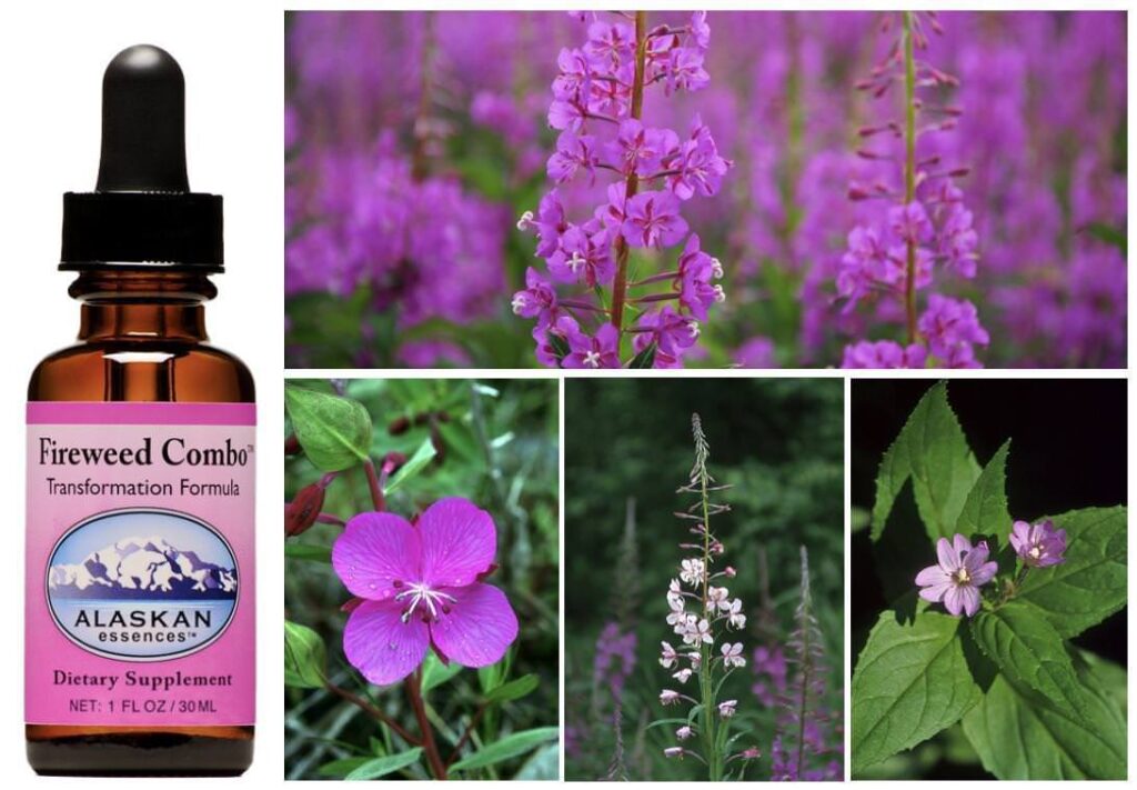 Fireweed Combo (Alaskan Essences)