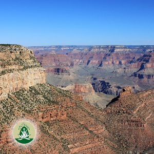Mehr über den Artikel erfahren Desert Alchemy Essenzen für Klarheit, Herzöffnung und Erdung