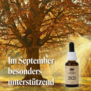 Mehr über den Artikel erfahren Numerologische Jahresessenz 2025 – warum sie im September unverzichtbar ist