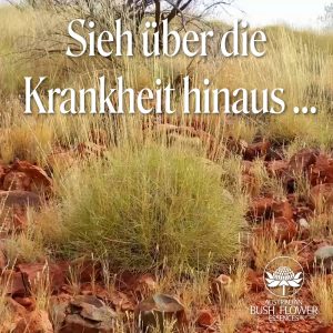 Mehr über den Artikel erfahren Spinifex Essenz: Heilung und Verbindung mit dem Körper