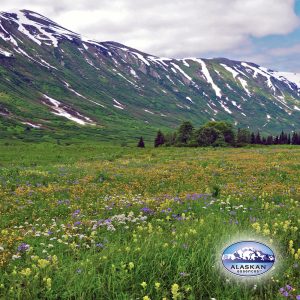 Mehr über den Artikel erfahren Alaska Blütenessenzen für erfüllte Beziehungen und mehr Selbstwert