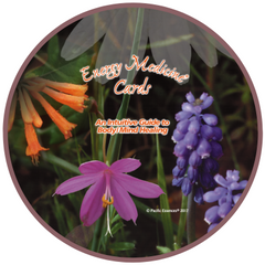 Energy Medicine Cards (Pacific Essences)