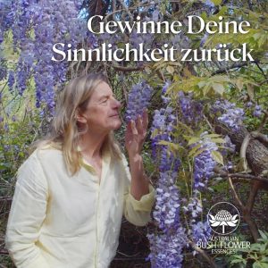 Mehr über den Artikel erfahren Wisteria Blütenessenz: Heilung bei sexuellen Verletzungen