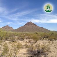 Opferrolle überwinden & Kraft finden mit Desert Alchemy Essenzen