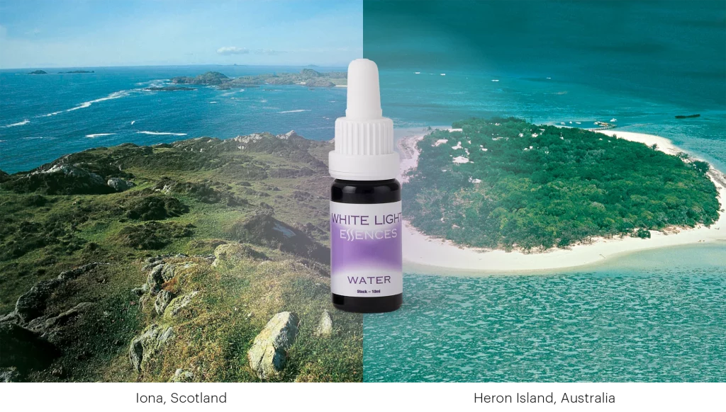 Water White Light Essence (Australische Buschblüten Essenzen)