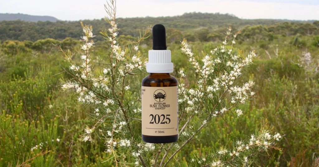 Die numerologische Jahresessenz 2025 (Australische Buschblüten Essenzen)