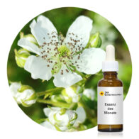 Raspberry – Herzöffnung & Vergebung im Dezember