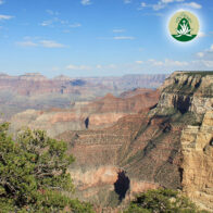 Alte Muster lösen: Desert Alchemy Essenzen für Heilung und Neuausrichtung