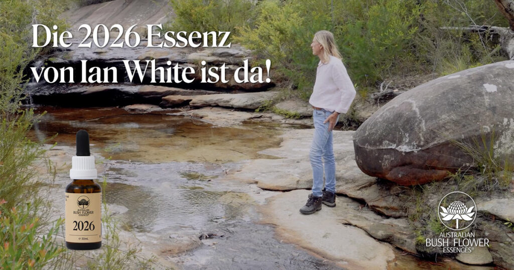 Die numerologische Jahresessenz 2026 von den Australischen Buschblüten Essenzen und Ian White