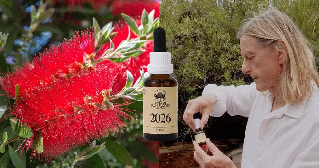 Die 2026 Essenz: Numerologisches Jahr 1 & neue Ausrichtung (Australische Buschblüten Essenzen)